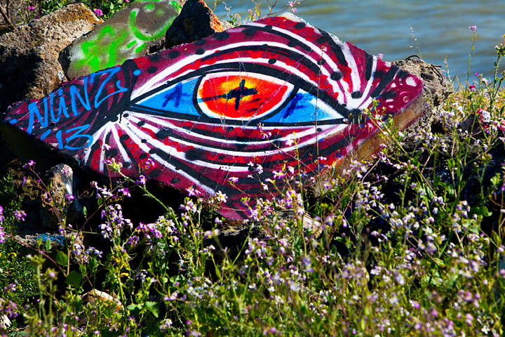 Albany Bulb 8