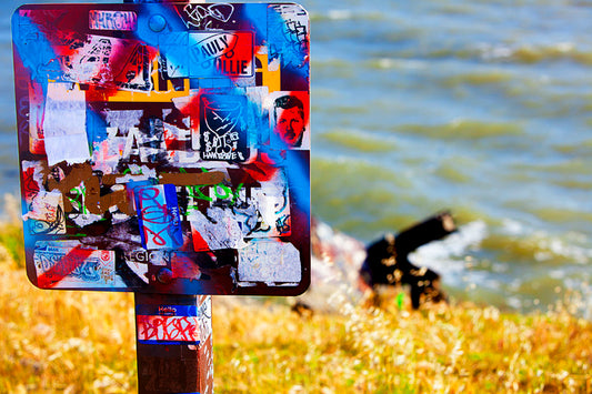 Albany Bulb 9