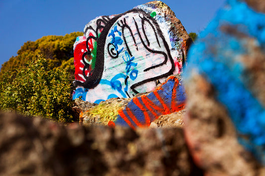 Albany Bulb 7